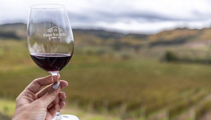 Plantação de uvas da vinícola Casa Valduga é atração turística e gastronômica do município de Bento Gonçalves, na serra do estado do Rio Grande do Sul
             -       
        Ticiana Giehl - 16.mai.22/Escolha Viajar/Folhapress