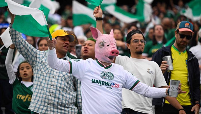 Torcedor do Palmeiras empunha uma bandeira em uma mão e um copo na outra, em partida da Copa do Mundo de Clubes, nos Estados Unidos
             -       
        Dadvid Ramos - 15.jun.25/Getty Images via AFP