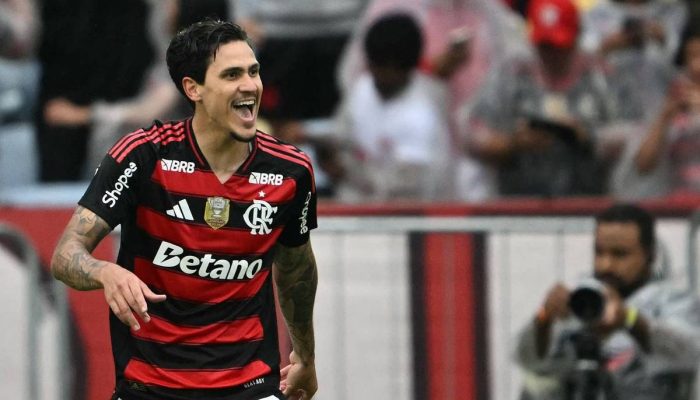 Pedro celebra gol pelo Flamengo em partida contra o Palmeiras
             -       
        MAURO PIMENTEL/AFP