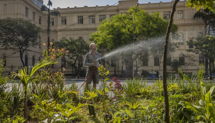 Árvore de grande porte derrubada por ventania no parque Ibirapuera
             -       
        Rafaela Araújo - 2.jan.26/Folhapress
