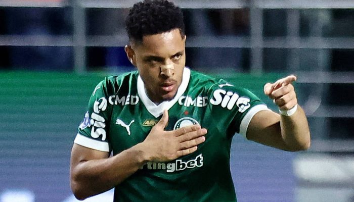 Vitor Roque celebra gol em partida contra o Santos, no Allianz Parque
             -       
        Thiago Bernardes/Reuters