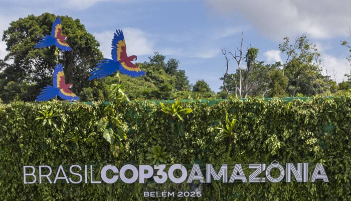 Inscrição em meio a plantas divulga a COP30, realizada no Brasil neste ano, na semana anterior ao início da cúpula do clima
             -       
        Danilo Verpa - 7.nov.25/Folhapress
