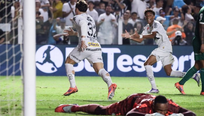 Rollheiser comemora gol da vitória do Santos por 1 a 0 sobre o Palmeiras 
             -       
        Marina Uezima/Marina Uezima