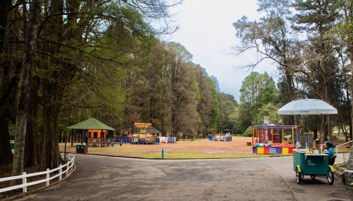Área de brinquedos infantis no Parque Estadual Alberto Löfgren (Horto Florestal), que completa 130 anos nesta terça-feira (10)
             -       
        Maria Magalhaes/Fitdance/Divulgação