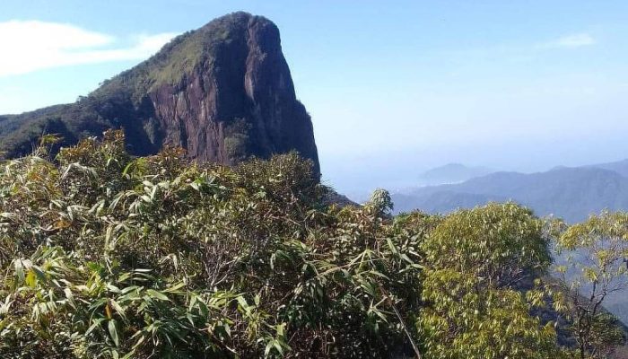 Pico do Corcovado, em Ubatuba, reaberto para visitação guiada de abril a setembro
             -       
        Cristiano Kiririndju/Divulgação