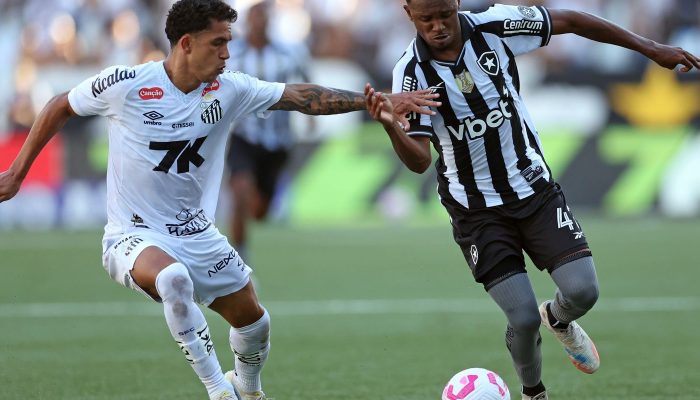 © Vitor Silva/Botafogo