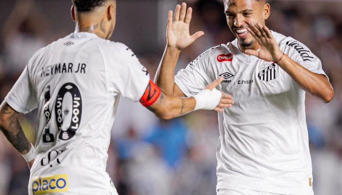 © Raul Baretta/Santos FC